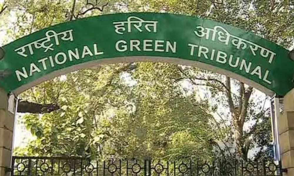 NGT Comments on Rayalaseema Lift Irrigation Project