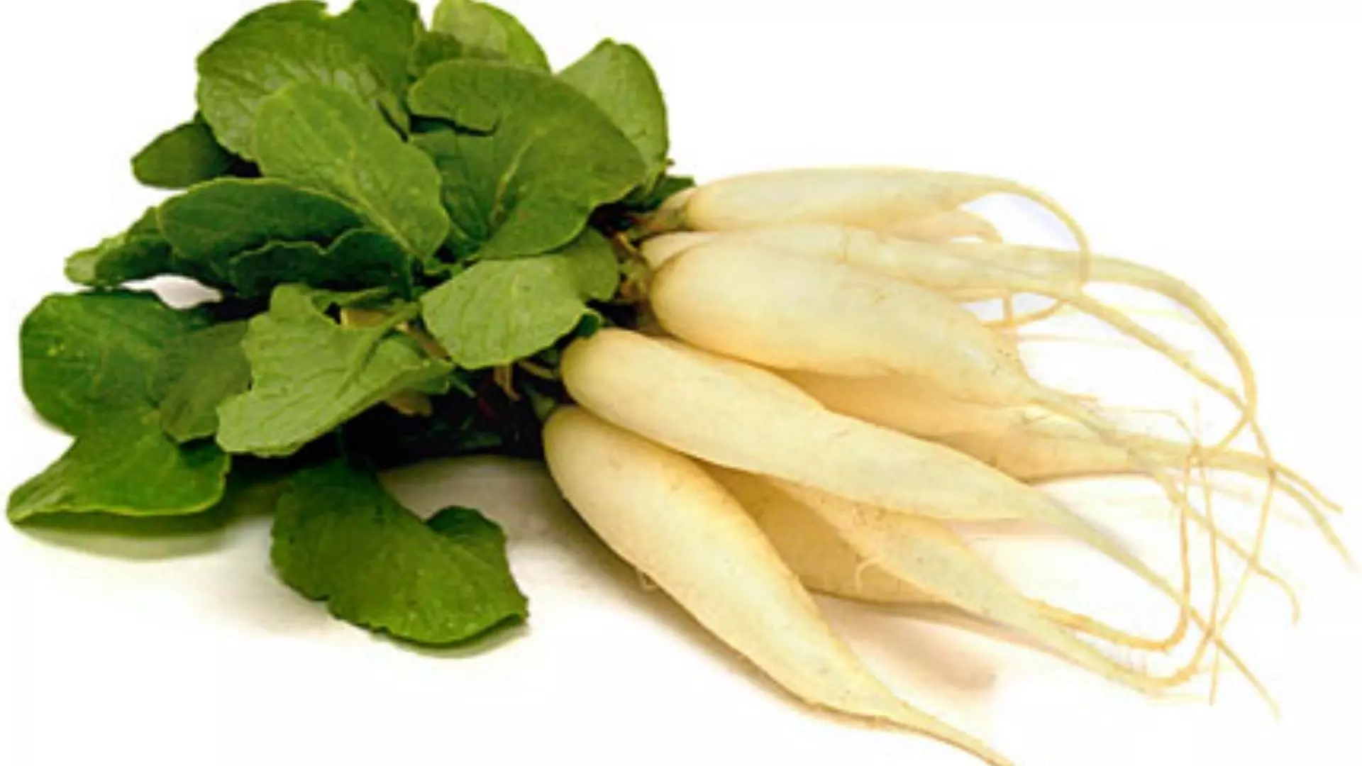 Benefits of Radish And Mint Leaves on Skin