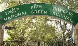 NGT Serious Comments on Central Environment Department NGT Serious Comments on Central Environment Department