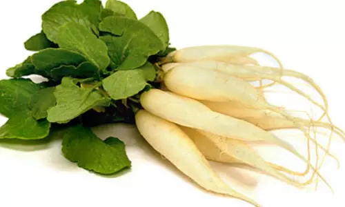 Benefits of Radish And Mint Leaves on Skin Benefits of Radish And Mint Leaves on Skin