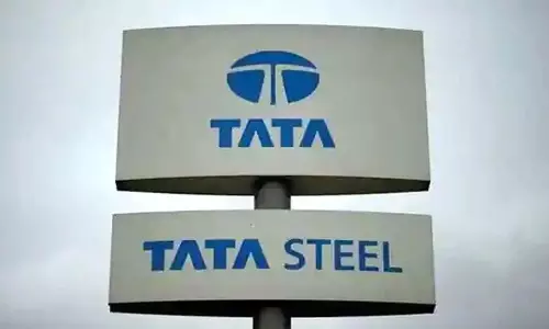 Tata Steel CEO Narendran Said Tata Steel Interested in Buying Vizag Steel Plant