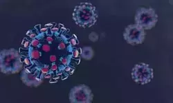 36,571 New Coronavirus Reported in India Today 20 08 2021