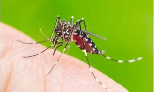 Coronavirus Viral Fever Cases Increasing in Telangana | Dengue and Malaria Symptoms