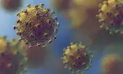 37,593 New Coronavirus Reported in India Today 25 08 2021 | Today Corona Cases in India 37,593 New Coronavirus Reported in India Today 25 08 2021 | Today Corona Cases in India