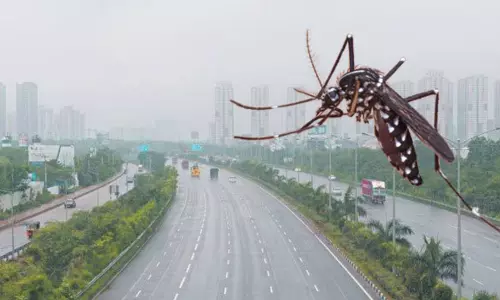 How to Safeguard your health in Rainy Season Explained Here | Rainy Season Health Precautions How to Safeguard your health in Rainy Season Explained Here | Rainy Season Health Precautions