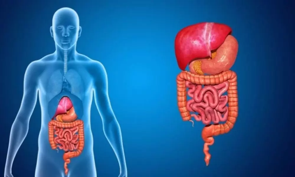 For your healthiest body your digestive system should strong know about strong digestive system