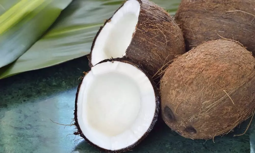 Benefits of Coconut From tree to fruit Coconut gives Excellent Support to Humans know the Complete Benefits of Coconut