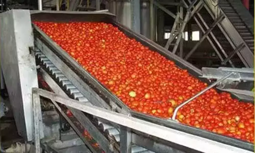 Food Processing Units Arrangements in Anantapur Soon