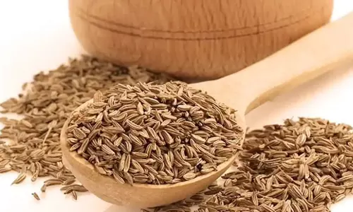 Benefits of Jeera and usage of Jeera with other ingredients Benefits of Jeera and usage of Jeera with other ingredients