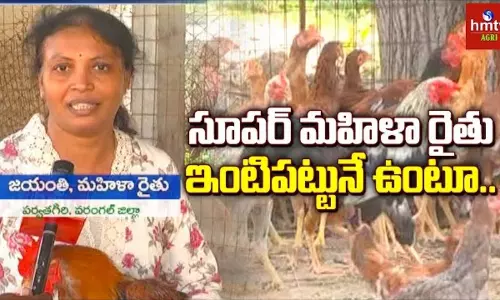 Natu Kolla Pempakam BY Lady Farmer Jayanthi Natu Kolla Pempakam BY Lady Farmer Jayanthi