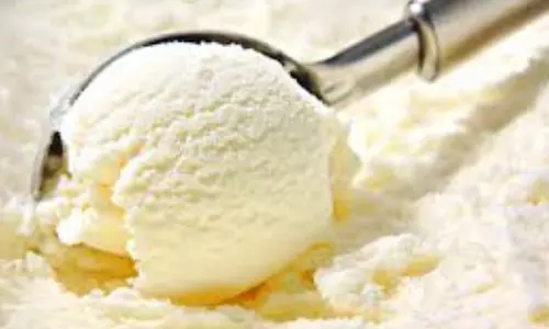 Vanilla: ఐస్ క్రీమ్ లో వాడే వనిల్లా ఎక్కడి నుంచి వస్తుందో తెలుసా? వనిల్లా గురించి తెలిస్తే ఆశ్చర్యపోతారు!