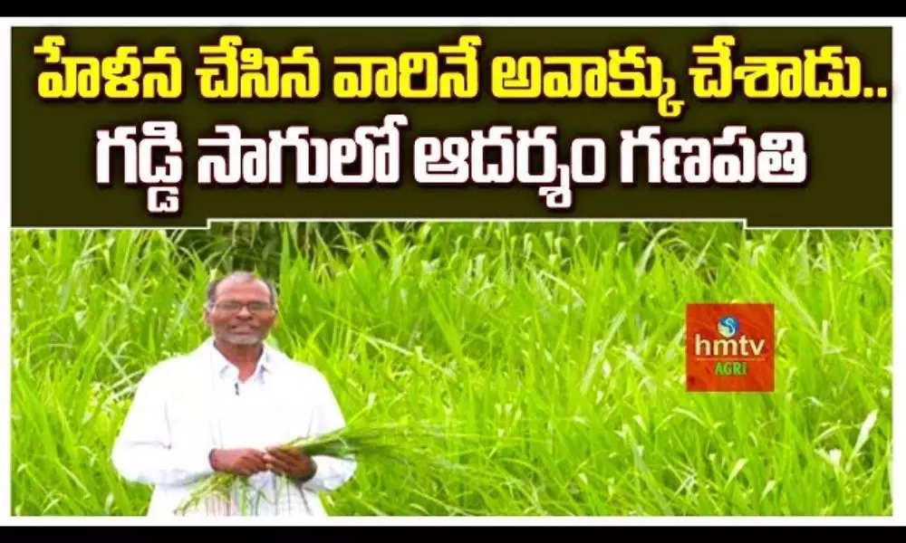 Grass Cultivation Guide BY Farmer Adharsham Ganapathi