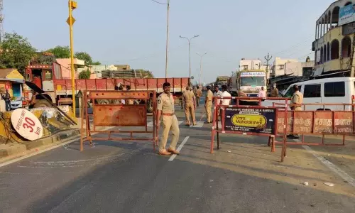 8 Green Wing Macaw Birds Spotted in Nellore District 8 Green Wing Macaw Birds Spotted in Nellore District