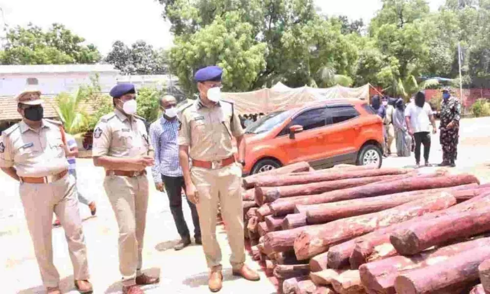 Chittoor Police Arrested 13 Sandalwood Smugglers