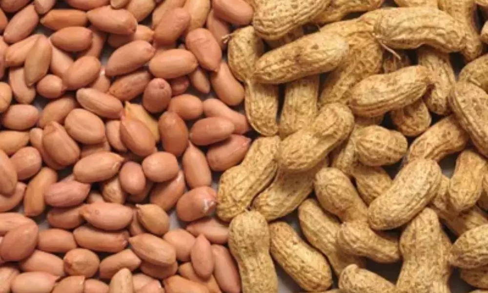 Amazing Uses of Groundnut for Skin | Health Benefits of Groundnut for Men