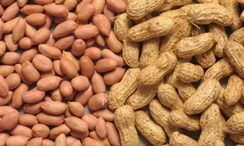 Amazing Uses of Groundnut for Skin | Health Benefits of Groundnut for Men