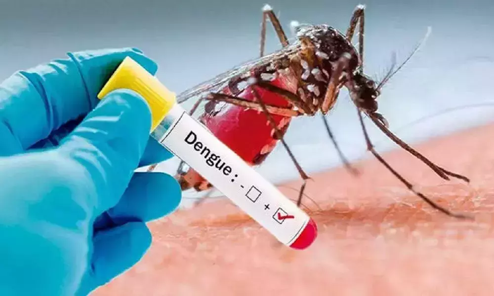 Viral Fever Tension to Telangana People Due Increasing Dengue Cases