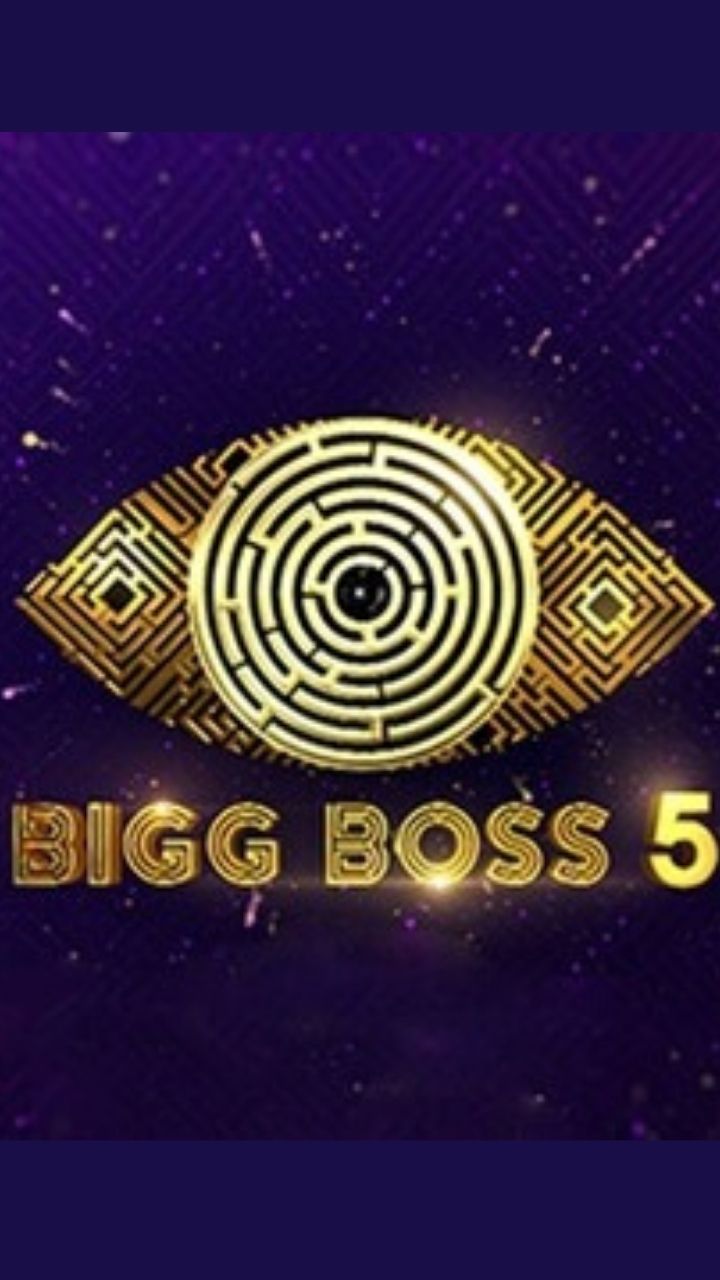 Bigg Boss 16, Jan 31 HIGHLIGHTS: Priyanka, Archana, Shalin reach the  finals; Sumbul turns on silent mode – India TV