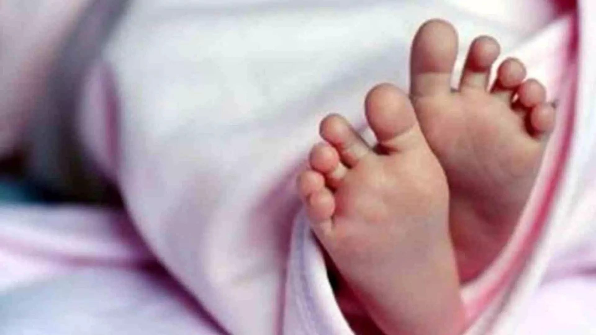 Unidentified People Left the a New Born Baby Girl in the Bushes in Bhadrachalam