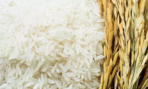 Dialogue War Between Central Government and State Government Over Boiled Rice