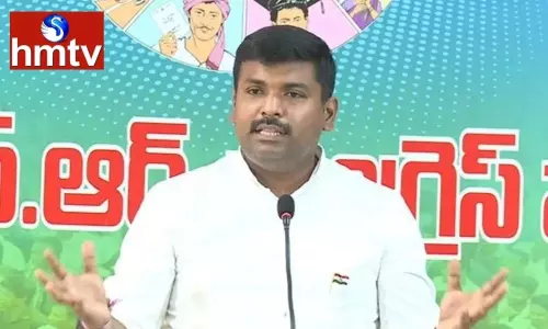 MLA Gudivada Amarnath Fires on Ayyanna Patrudu