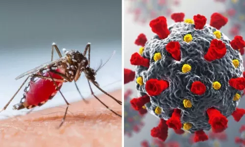 Central Alert to States on Covid and Dengue