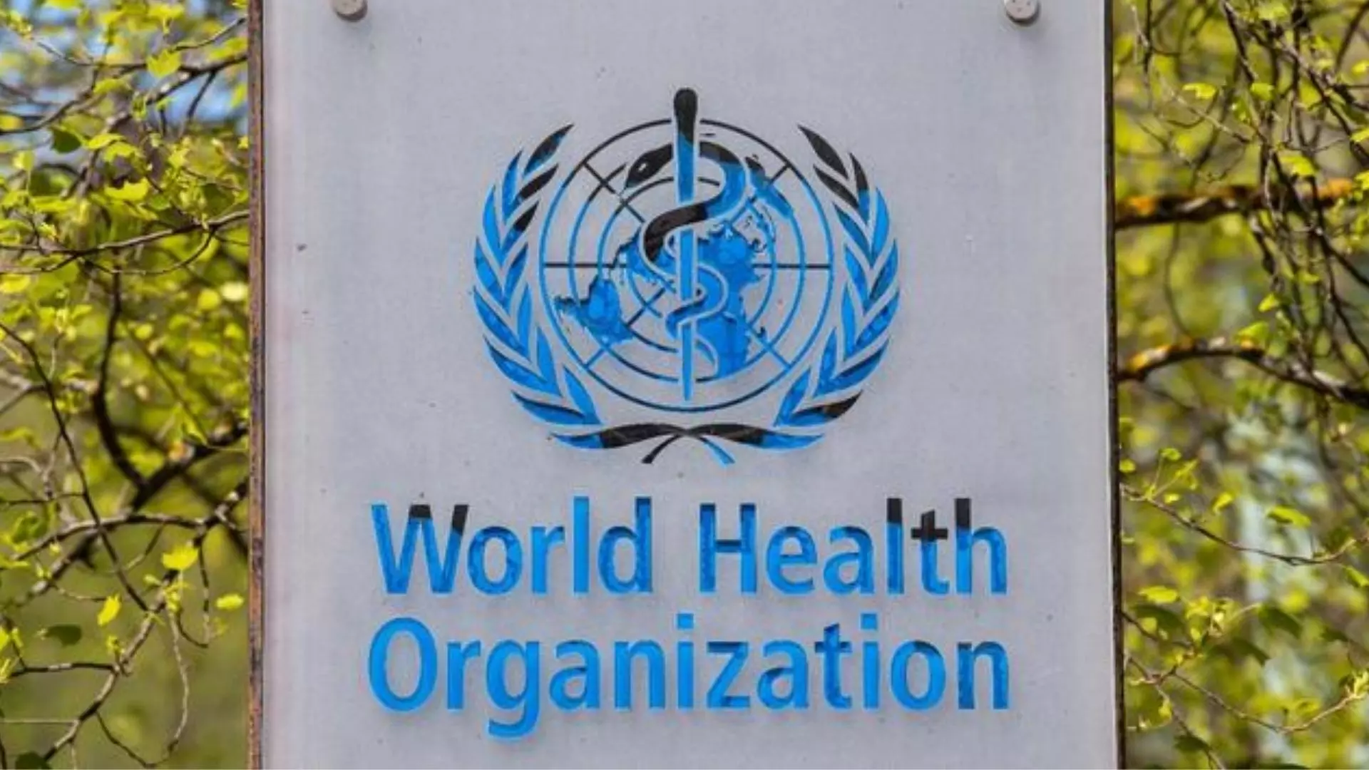 World Health Organization Shocking Comments on Air Pollution