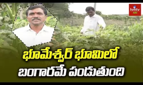 Natural Farming by farmer Bhuvmeshwar