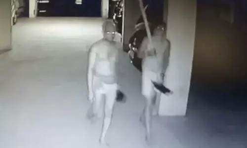 Cheddi Gang Highlight in Ameenpur Sangareddy District