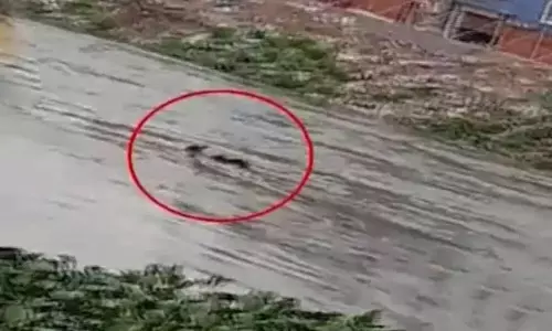 Due to Heavy Rains in Hyderabad Dead Bodies Floating in the Drainage Rivers Due to Heavy Rains in Hyderabad Dead Bodies Floating in the Drainage Rivers
