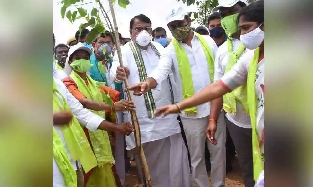Pocharam Srinivas Reddy Planted a Jammi Tree as Part of Green India Challenge in Telangana Assembly