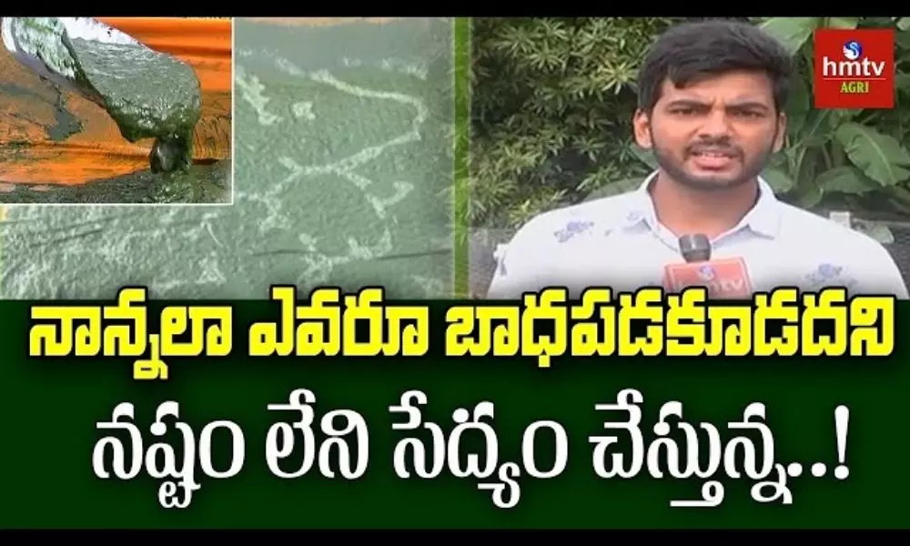 Young Farmer Bharath Reddy Spirulina Cultivation Success Story