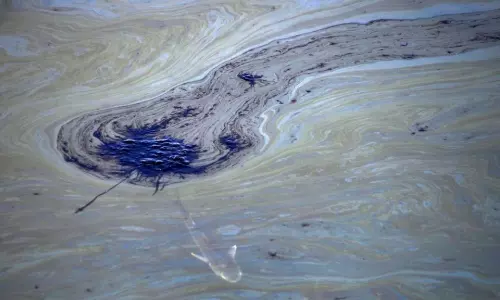 Huge Oil Spill Along California Huntington Beach USA Huge Oil Spill Along California Huntington Beach USA