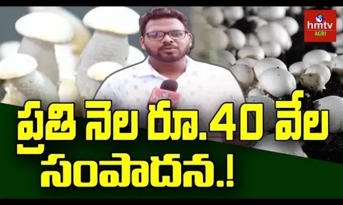 Mushroom Cultivation Tenali Young Farmer Sai Gopi
