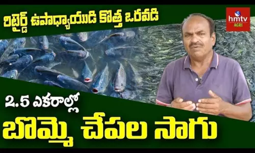 Retired Teacher Rajaiah Excelling in Fish Farming