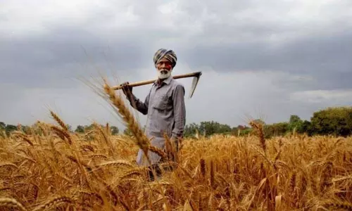 Farmers Request to Telangana Government to Waiver Crop Loans
