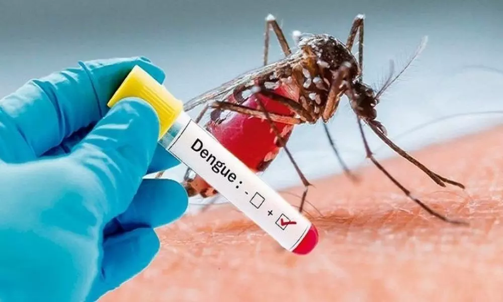 Dengue Fever: Symptoms, Causes and Prevention | Dengue Signs and Symptoms