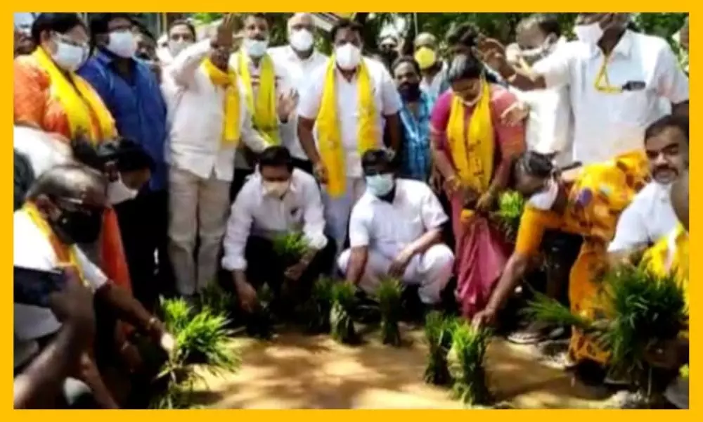 TDP Leaders Manthena Ramaraju, Nimmala Ramanayudu Protest Differently at West Godavari | AP News Today