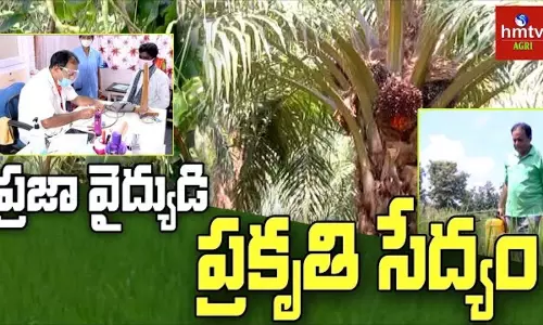 Natural Farming: ప్రకృతి సేద్యంలో రాణిస్తున్న డాక్టర్