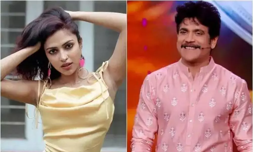 Amala Paul Increases her Remuneration for Nagarjuna New Movie Ghost | Tollywood News Today