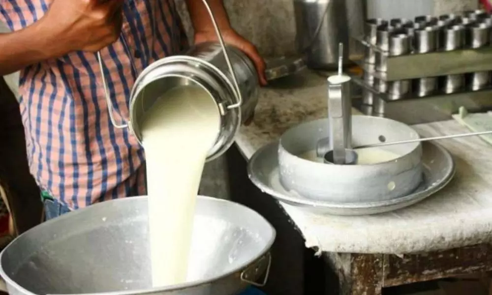 Adulterated Milk Tension in Nirmal Khanapur | Telangana News Today