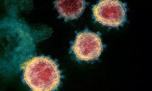 AY4 Variant for Six People from Madhya Pradesh AY4 Variant for Six People from Madhya Pradesh