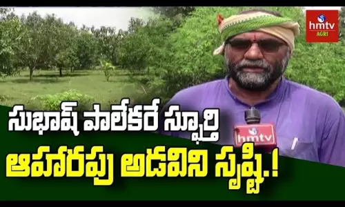 Natural Farming Farmer Darlapudi Ravi Success Story