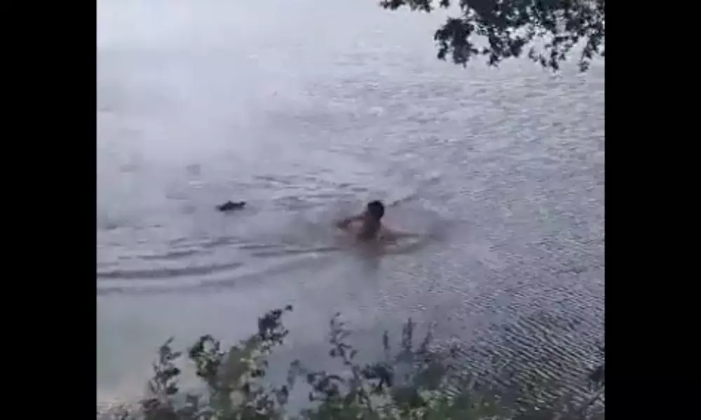 Crocodile Attack on a man Swimming in the River