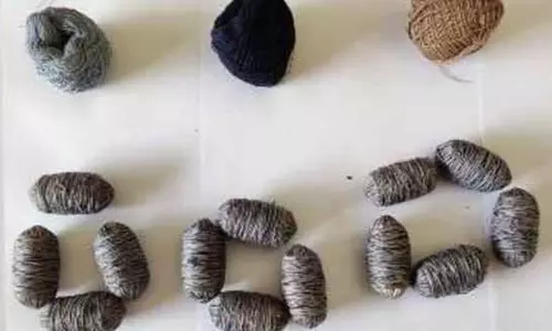 A Person Arrested for Making Country Bombs in Anantapur District | Telugu Online News A Person Arrested for Making Country Bombs in Anantapur District | Telugu Online News