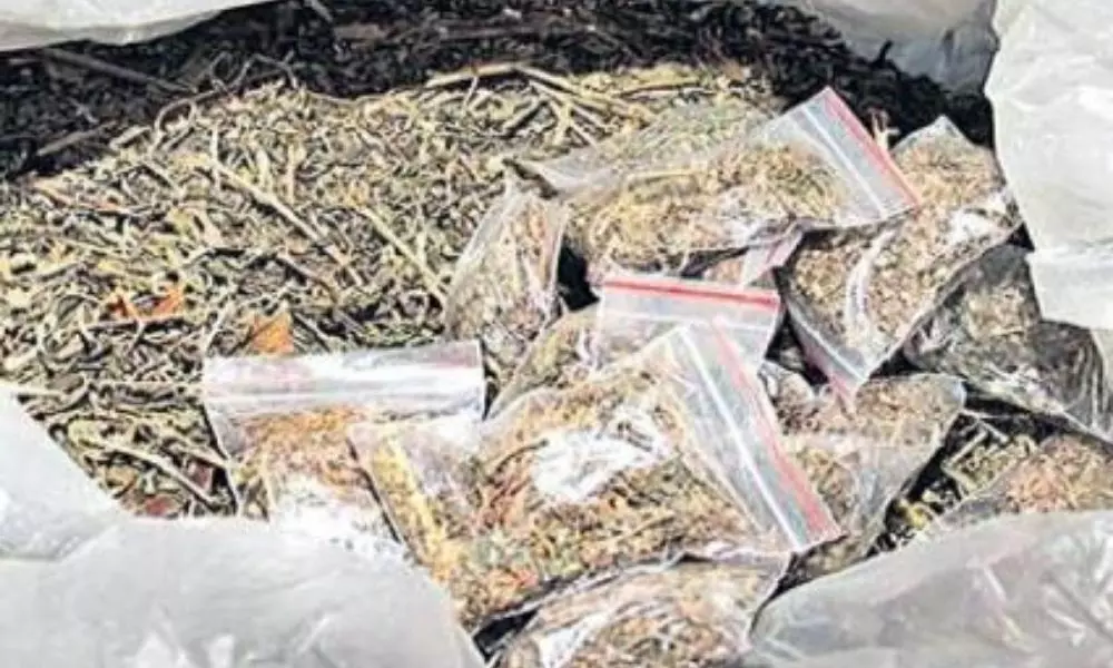 Police have Seized 110 kg Cannabis in LB Nagar Hyderabad