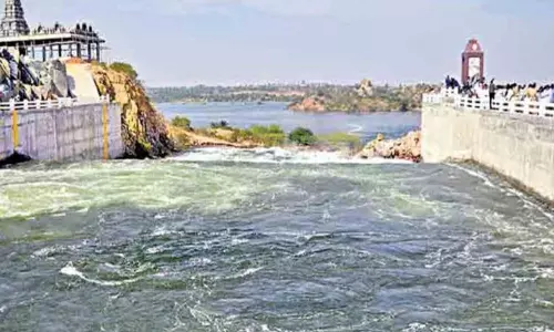 NGT Gives Stay Orders on Work of Palamuru Rangareddy Lift Irrigation Project NGT Gives Stay Orders on Work of Palamuru Rangareddy Lift Irrigation Project