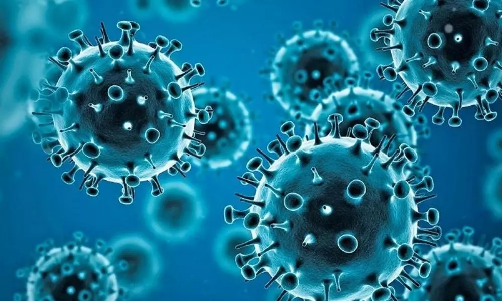 12,830 New Coronavirus Reported in India Today 31 10 2021