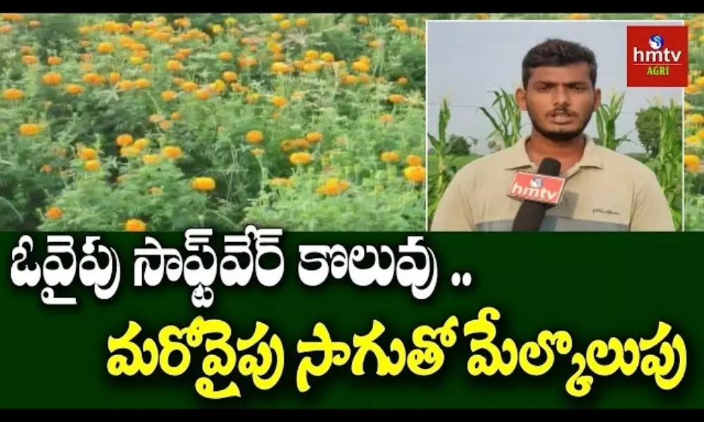 Flower Farming Success Story of Software Engineer Farmer