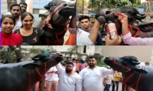 Sadar Utsavalu 2021 Celebrated in Hyderabad on November 5th 2021 | Hyderabad News Today Sadar Utsavalu 2021 Celebrated in Hyderabad on November 5th 2021 | Hyderabad News Today